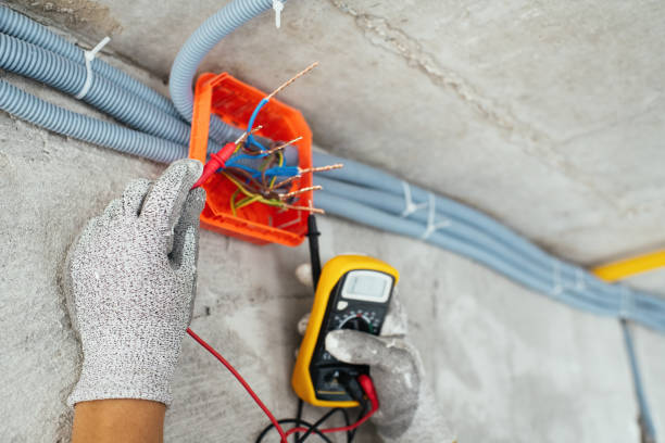 Best Electric Panel Repair  in Baldn, WI